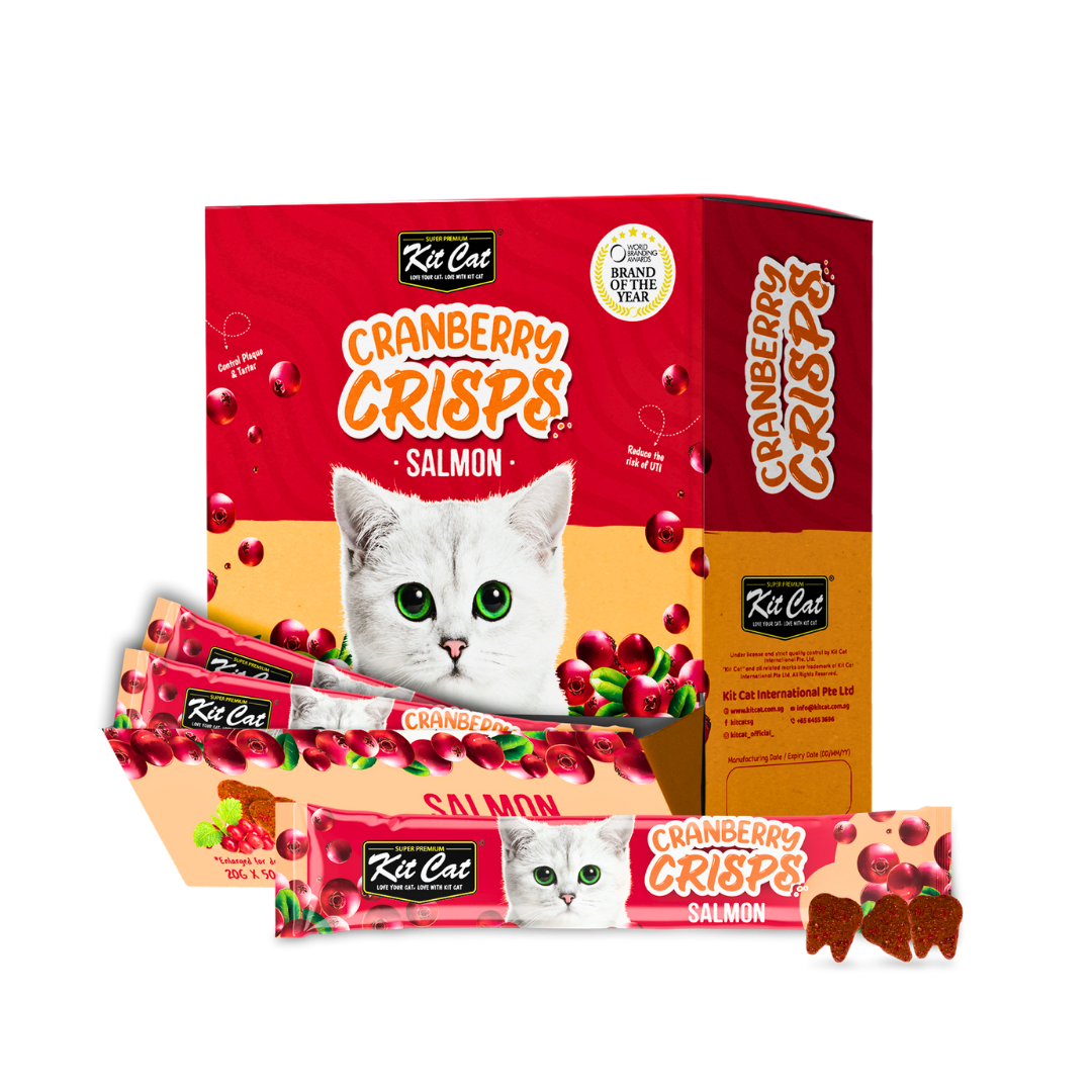 تشویقی بچه گربه کیت کت با طعم سالمون Kit Cat Kitty Crunch وزن ۶۰ گرم - تصویر 2