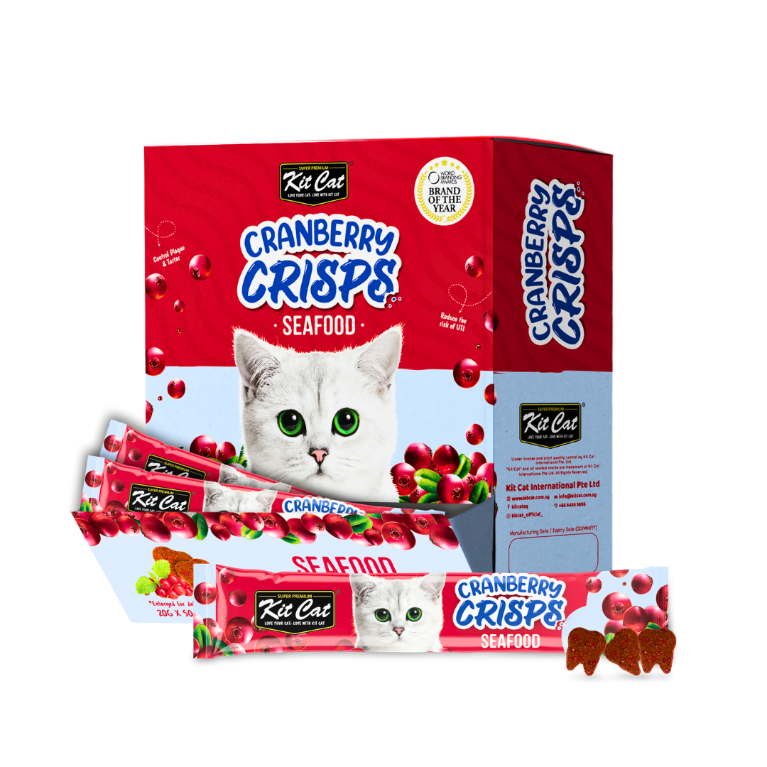 تشویقی چیپسی گربه کیت کت Kit Cat Crisps بسته 3 عددی - تصویر 2